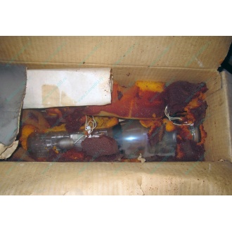 13ЛН8 (Орел)