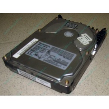 Жесткий диск 18.4Gb Quantum Atlas 10K III U160 SCSI (Орел)