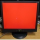 Монитор 19" ViewSonic VA903b (1280x1024) есть битые пиксели (Орел)