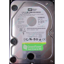 Б/У жёсткий диск 500Gb Western Digital WD5000AVVS (WD AV-GP 500 GB) 5400 rpm SATA (Орел)