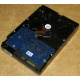 Электроника HDD 500Gb Hitachi HDS721050DLE630 (Орел)