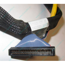 Кабель SCSI HP 166298-037 для HP ML370 G4 (Орел)