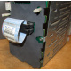 HP 365664-001 кабель SCSI для корзины 373108-001 / 359719-001 HP ML370G4 (Орел)