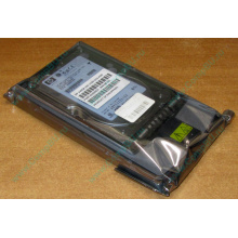 Жёсткий диск 146.8Gb HP 365695-008 404708-001 BD14689BB9 256716-B22 MAW3147NC 10000 rpm Ultra320 Wide SCSI купить в Ореле, цена (Орел).