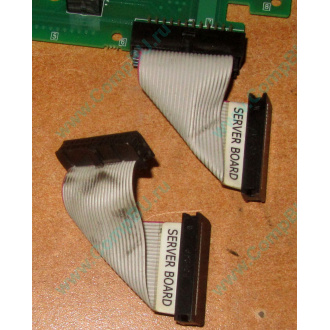 6017B0045701 Шлейф 24 pin для Intel C74974-401 T0043401-B01 корпуса SR2400 (Орел)