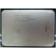 AMD Opteron 6128 OS6128WKT8EGO (Орел)