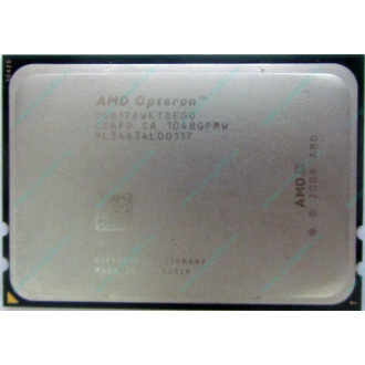 AMD Opteron 6128 OS6128WKT8EGO (Орел)