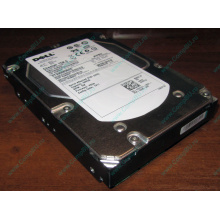 Жесткий диск 300Gb 15k Dell 9CH066-050 6G SAS (Seagate Cheetach ST3300656SS 15K.6) - Орел