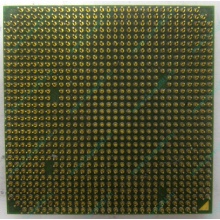 Процессор AMD Sempron 3000+ (1.6GHz) SDA3000IAA3CN s.AM2 (Орел)
